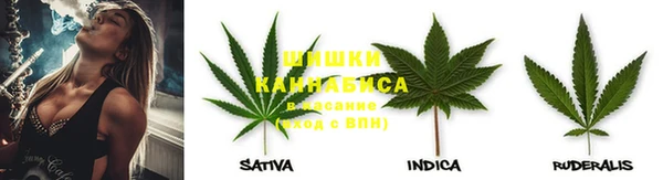 jwh Алзамай
