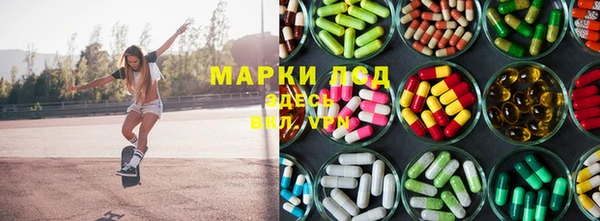 spice Дмитровск