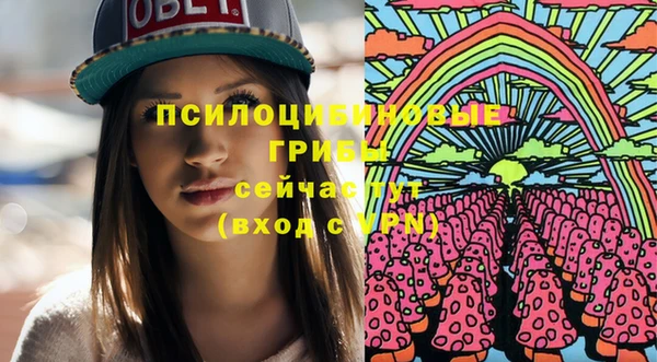 МДПВ Алексин