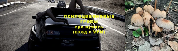 каннабис Алексеевка